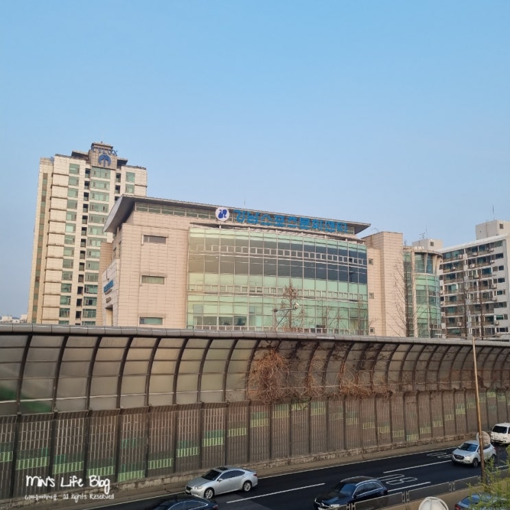  [수영일기] 새벽수영 단체강습(수영 107일차), 강남스포츠문화센터 중급반