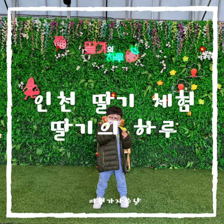  딸기 체험 농장 인천 남동구 딸기의하루 예약팁 가격 키즈존
