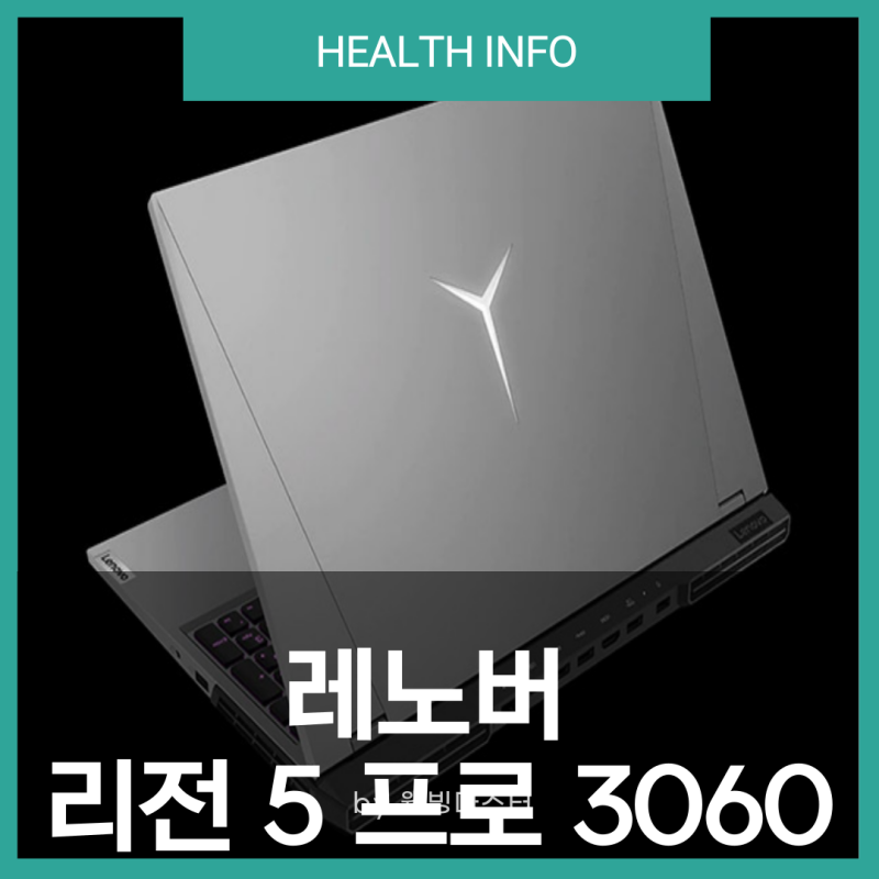 레노버 리전 5 프로 3060 16ACH 라이젠 7 RTX 3060 스펙 분석 장점 단점