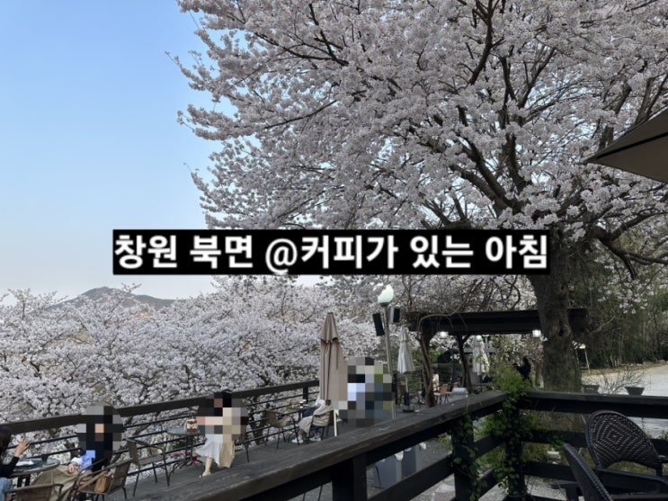  창원 북면 벚꽃보기 좋은 카페 커피가 있는 아침