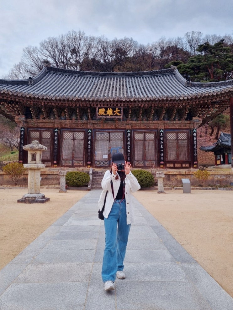  여자혼자국내여행 김천가볼만한곳 부항댐짚라인 직지사 사명대사공원 자산동벽화마을