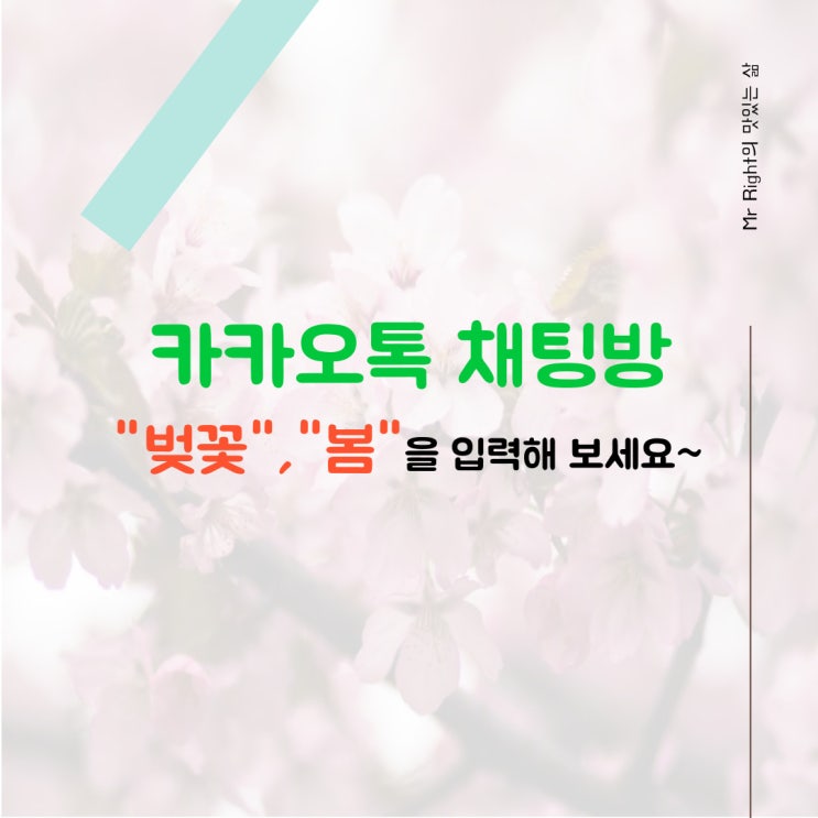  카카오톡 채팅방에 벚꽃, 봄을 입력하면 벚꽃이 날려요