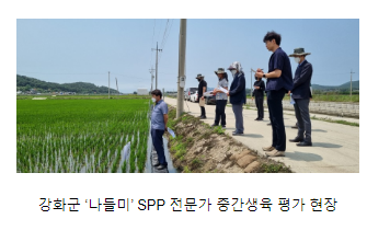 강화·김포도 외래 벼 품종 대체에 팔 걷었다 강화·김포도 외래 벼 품종 대체에 팔 걷었다