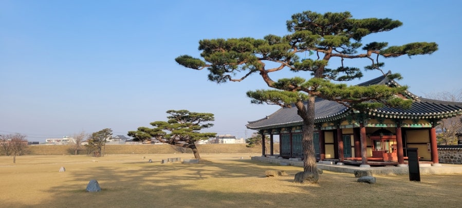 구피동물병원 사진 6
