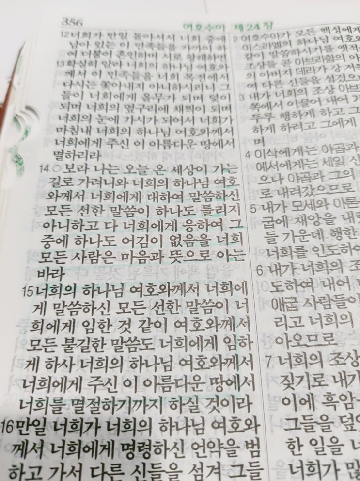  119 - 습관 마스터