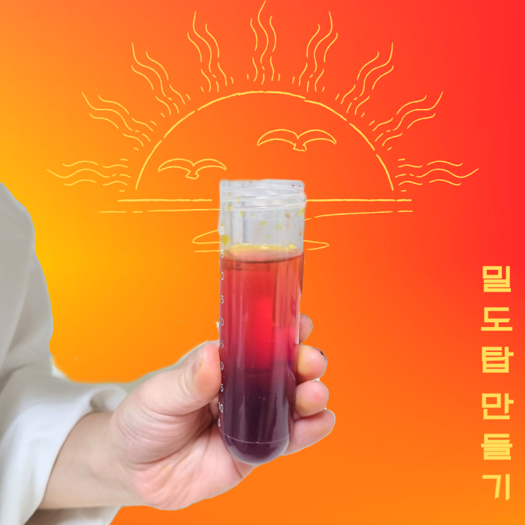  과학놀이 | 설탕물 밀도탑 만들기 실험 (데킬라선라이즈st)