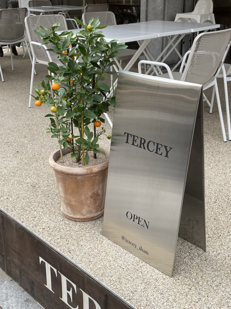  밤리단길 건강한 브런치 맛집 터시(TERCEY), 햇빛샤워하기 좋은 브런치 카페, 인생 어니언스프 등극