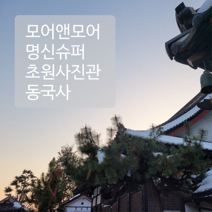  군산 1박2일 뚜벅이 여행코스｜기념품가게 모어앤모어/명신슈퍼/초원사진관/동국사