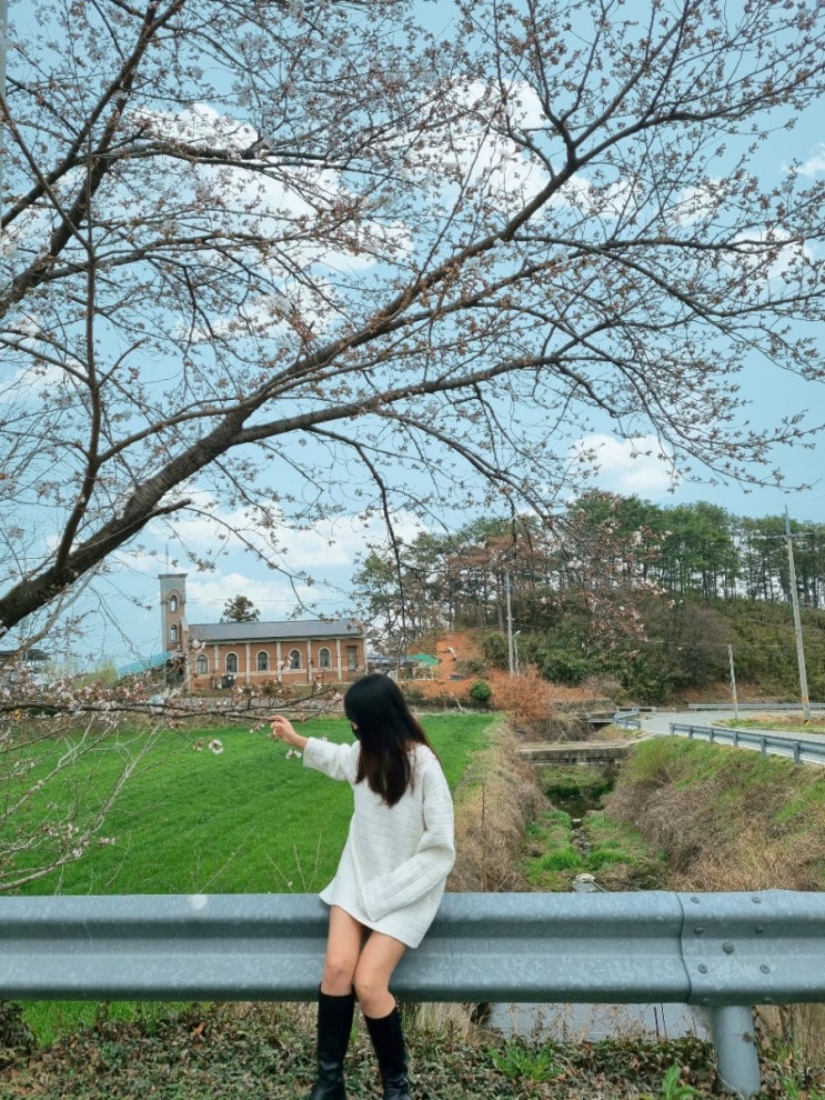  전남 장성 진원면 대형카페 모모 브런치 광주근교 나들이