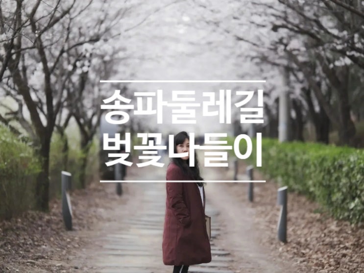  2023 송파둘레길 벚꽃나들이 장지천 벚꽃 터널을 이루다
