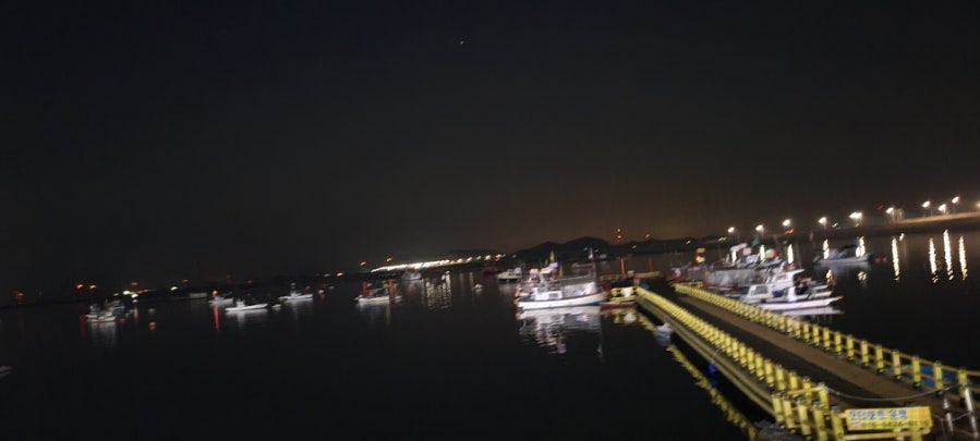 구피동물병원 사진 3