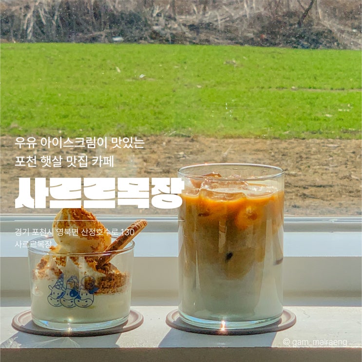  포천 사르르목장 우유 아이스크림이 맛있는 햇살 맛집 카페
