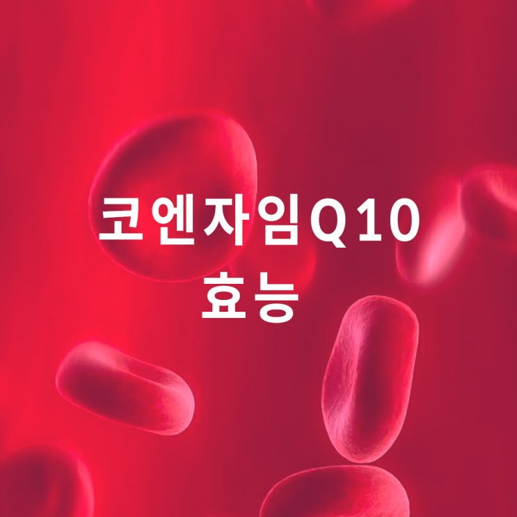  코엔자임 Q10 (CoQ10) : 효능 효과, 코큐텐, 유비퀴논 유비퀴놀
