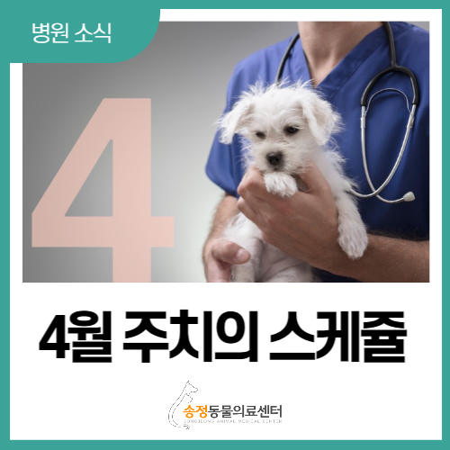  365일 연중무휴 진료하는 경기광주 동물병원 4월 주치의 스케쥴
