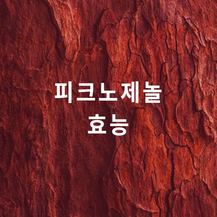 피크노제놀 : 효능 효과, pycnogenol, 소나무껍질추출물 (혈압 감소, 항산화, 갱년기)
