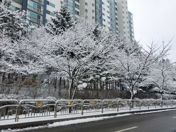  학부모님을 위한 목동책통클럽정보