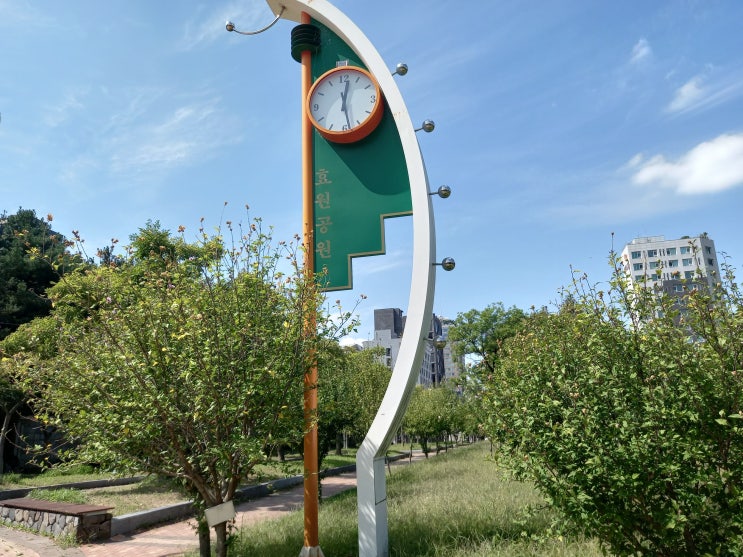 경기도 수원시 효원공원에 가서 찍은 사진입니다.