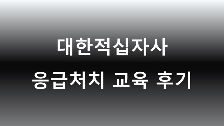  응급처치교육, 내 가족은 내가 지킨다(대전세종적십자사, 이기흔 강사님)