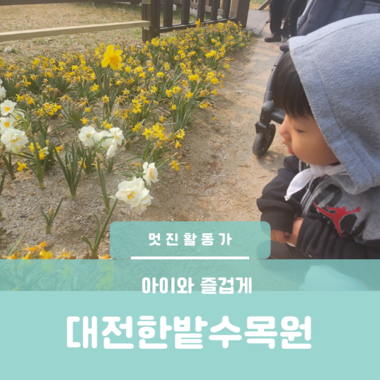 대전 아이와 가볼만한 곳 한밭수목원 벚꽃 구경 주차장 정보 돗자리가지고 피크닉 가기 좋은 곳 대전 아이와 가볼만한 곳 한밭수목원 벚꽃 구경 주차장 정보 돗자리가지고 피크닉 가기 좋은 곳