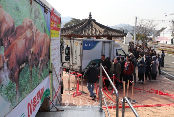  전남도, 한우 수급 안정대책 수립 총력 대응