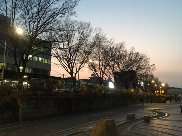  50분 달리기 4주차 - 2