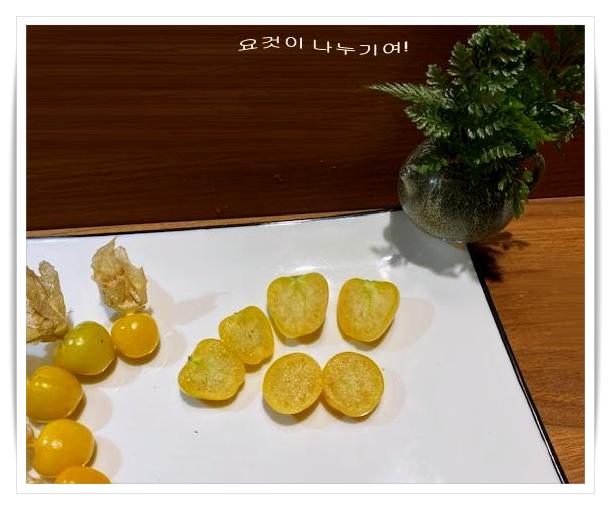 망고맛 꽈리 금땅꽈리 골든베리 꾸냥구어
