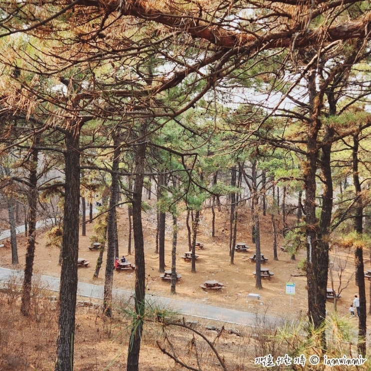 봄이라 하기엔 이른 3월초 오산 물향기수목원 봄이라 하기엔 이른 3월초 오산 물향기수목원