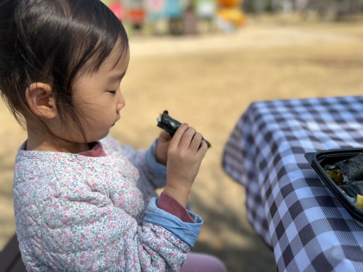  [대전 벚꽃 만개] 유성구 관평동 벚꽃 스팟, 대전현대아울렛 건너편 수변공원