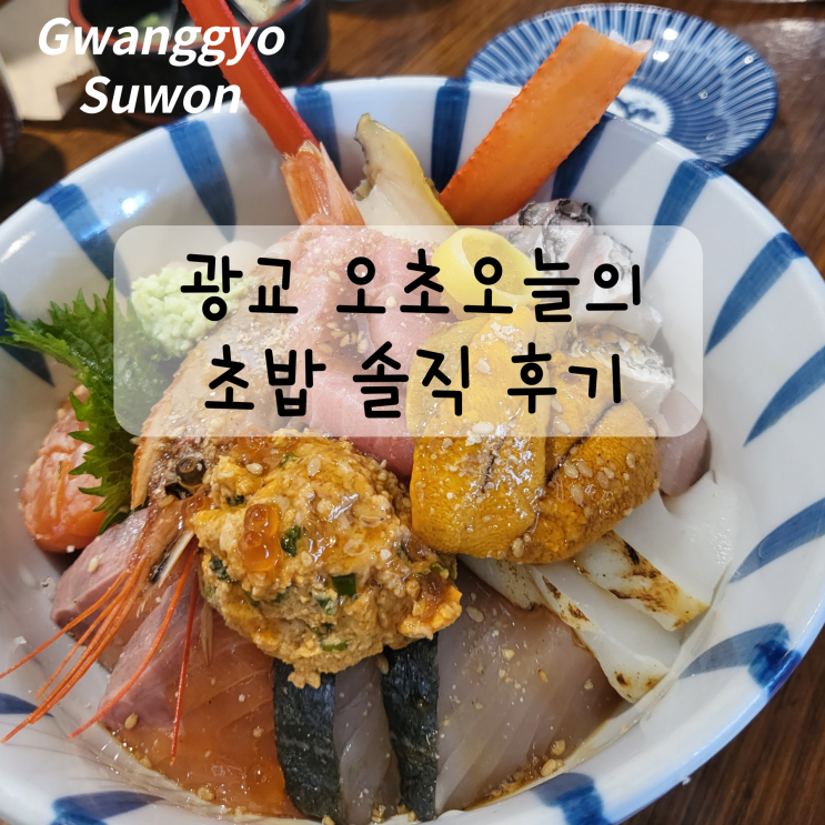  수원 광교 오초오늘의초밥 솔직 후기