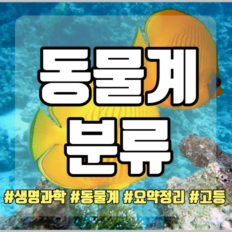  생명과학 동물계 분류 기준과 방법 고등과학 요약정리