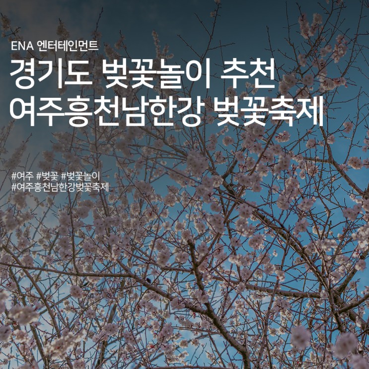 경기도 벚꽃명소 여주흥천남한강 벚꽃축제 정보