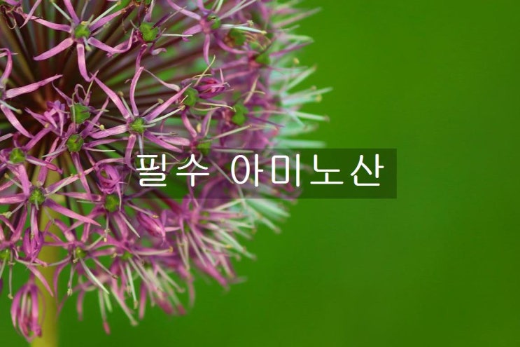  필수 아미노산