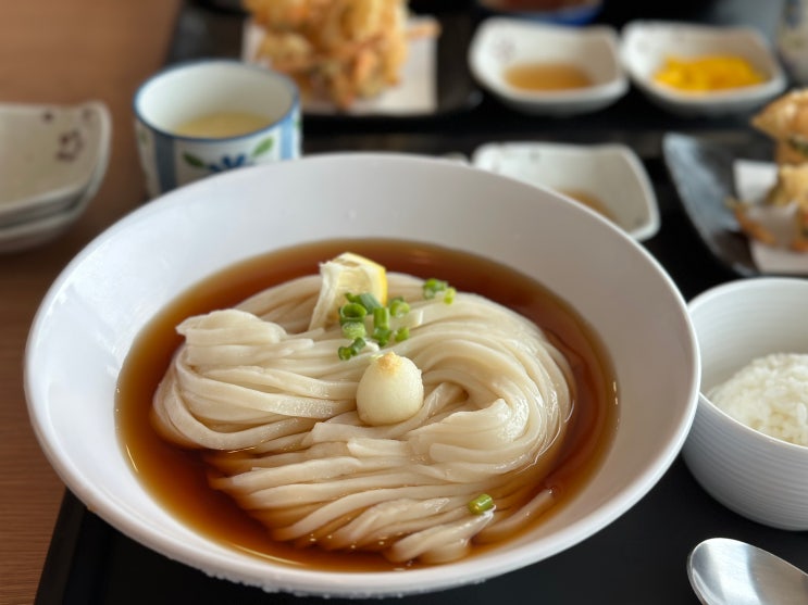  세종 수요미식회맛집 붓가케우동이 맛있는 니시키
