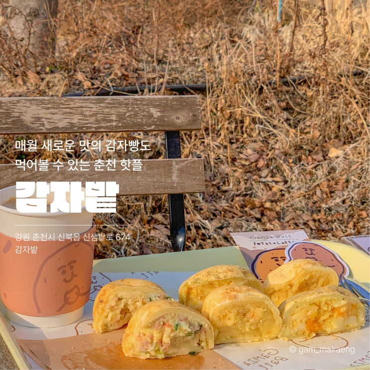  춘천 감자밭 원조 감자빵 카페 내돈내산 후기