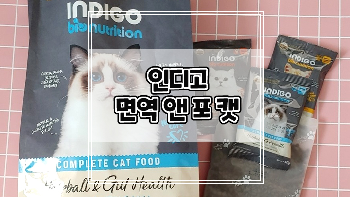  고양이 맞춤형 유산균 사료 인디고 헤어볼로 장 건강 지키세요