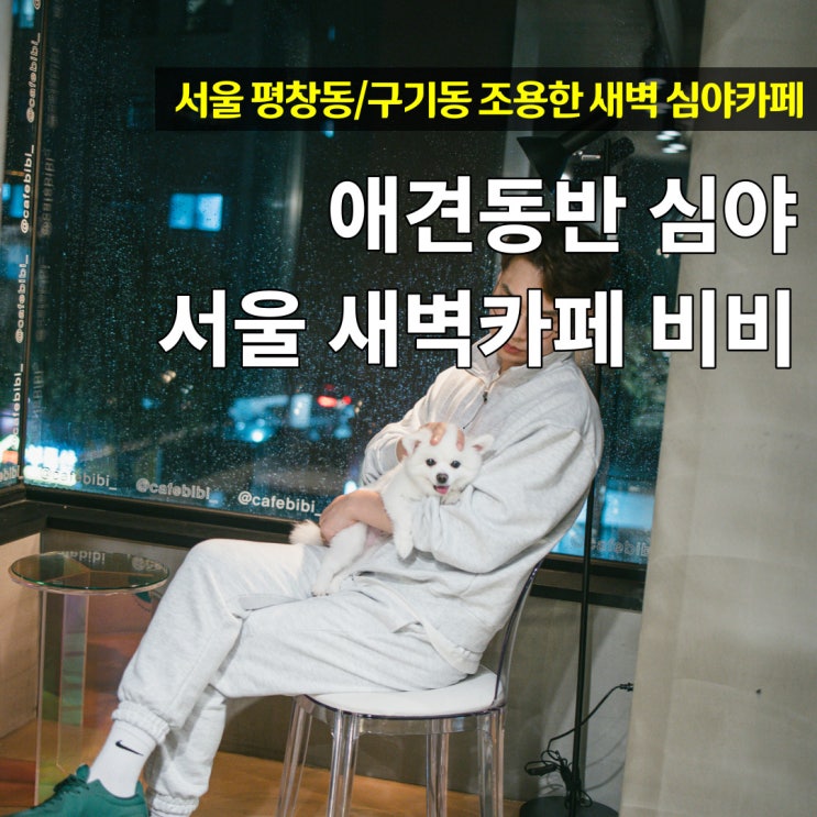  강아지와 심야데이트 서울 새벽카페 비비(BIBI)