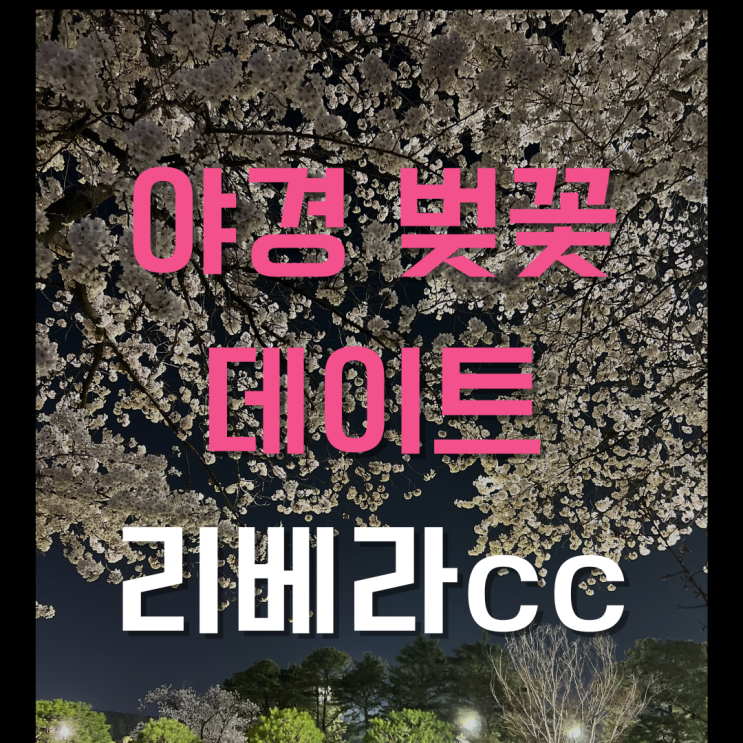 경기 동탄 야경 벚꽃 추천 [리베라CC] _ 야경데이트, 벚꽃길, 골프장 추천