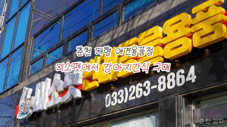춘천 애견용품점 미소펫에서 아이들 간식 구매 후기