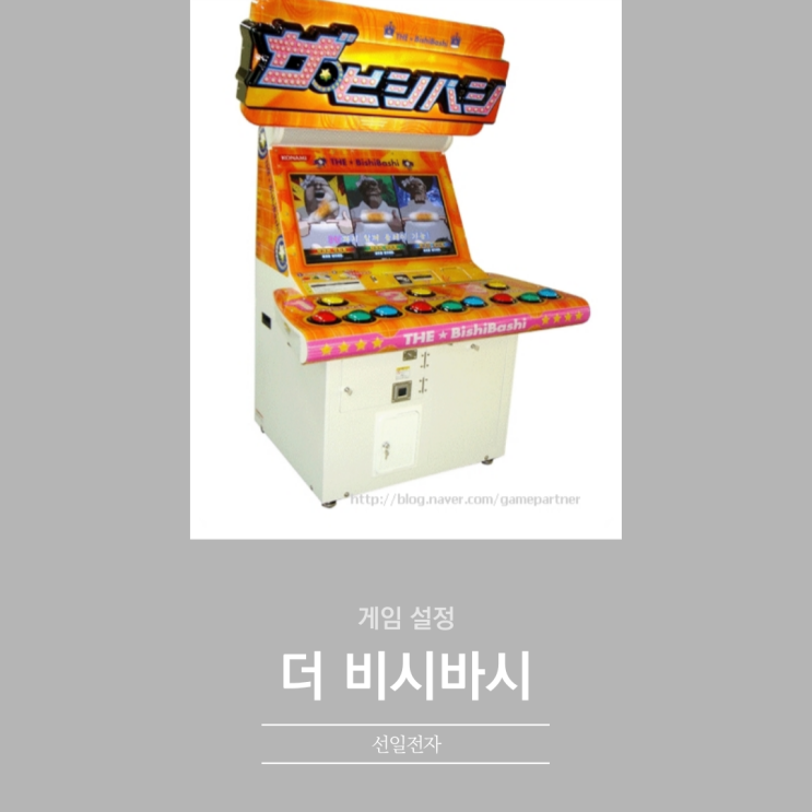  더 비시바시 게임설정