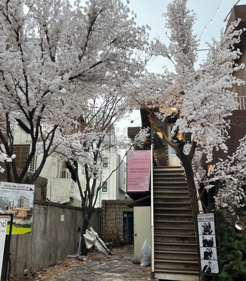 연남동 데이트 코스 아시안 비스트로 시누아즈