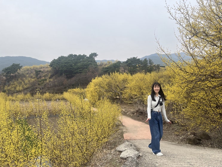  구례산수유축제, 상무지구카페, 상무지구블레스롤, 광주연극 기분좋은극장, 연애하기 좋은날