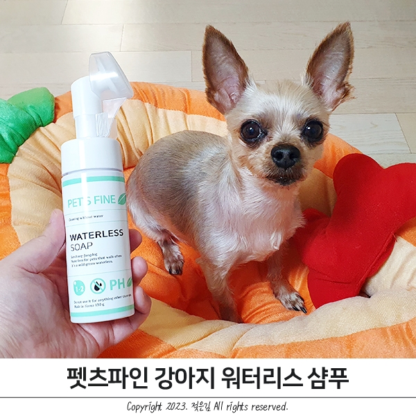 펫츠파인 강아지워터리스샴푸 개운한 사용감 펫츠파인 강아지워터리스샴푸 개운한 사용감