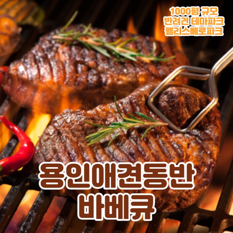  용인 애견동반 바베큐장 한번만 오신분은 없다는