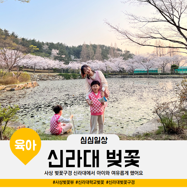  부산 사상 벚꽃구경 신라대에서 아이와 여유롭게