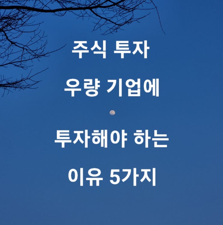  주식 투자 우량 기업에 투자해야 하는 이유 5가지