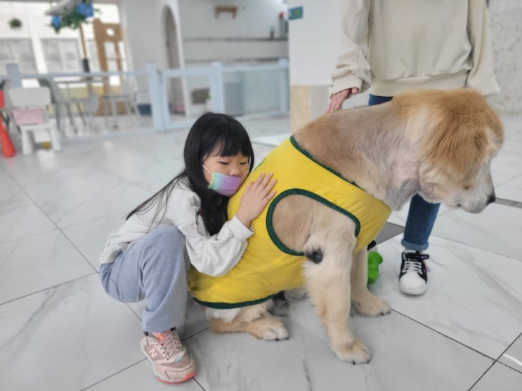  귀여운 댕댕이친구들이 있는 마산 창동애견카페 포