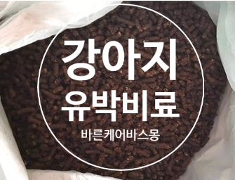  유박비료! 강아지 봄철 나들이 조심하세요