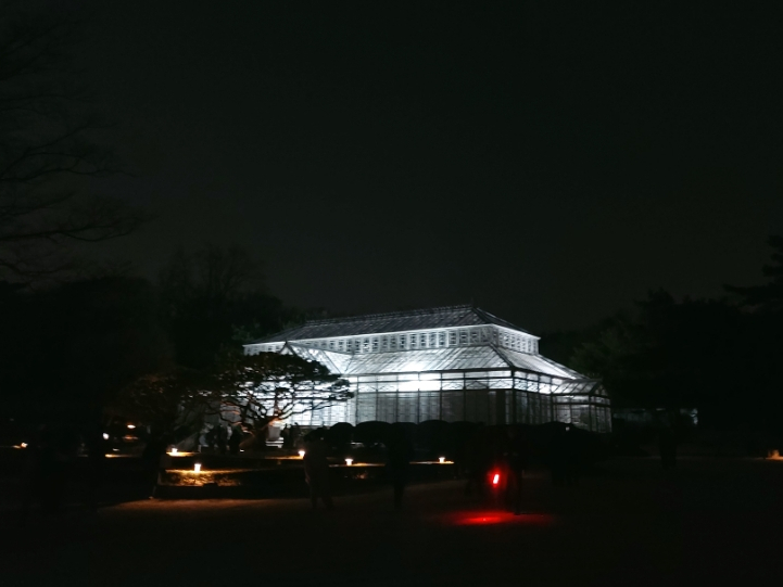  [종로/안국] 창경궁 대온실 야간개장, 한옥 와인바 난아