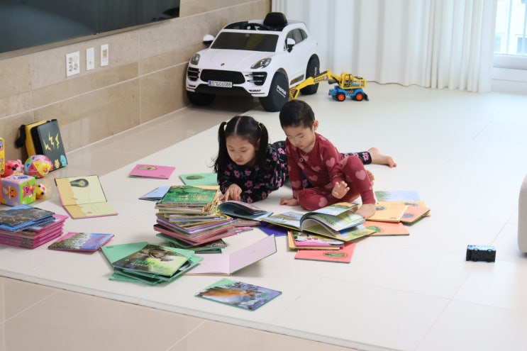  자연관찰 아기전집 자연이 소곤소곤으로 관찰 탐구력을 높여요
