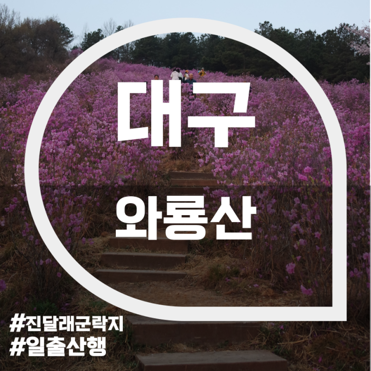 와룡산(Waryongsan Mountain) 와룡산(Waryongsan Mountain)